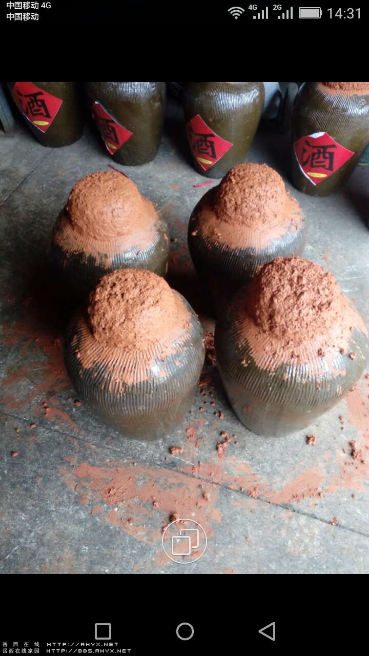 封坛酒.jpg