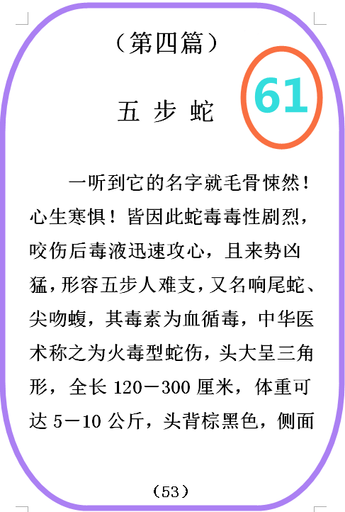 图  61.png