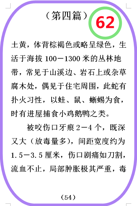 图  62.png