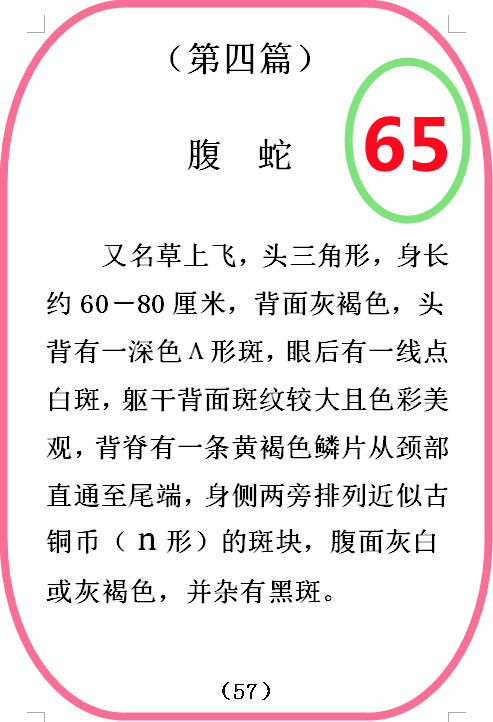 图   65.png