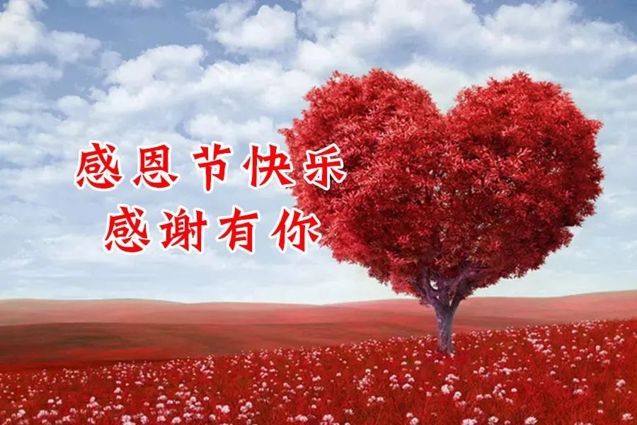 mmexport4daed65c111c8520d7a1294f0e4c8057_1669243391092.jpeg