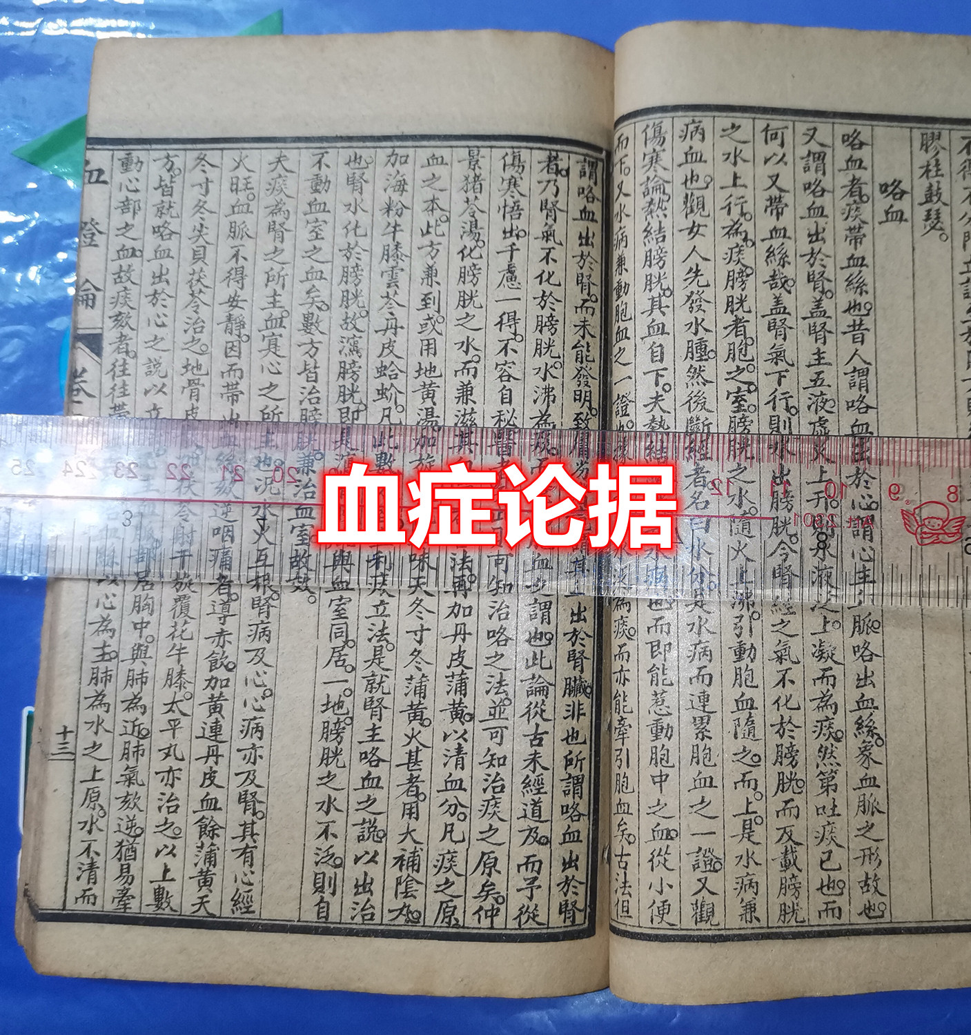 血症论据.jpg