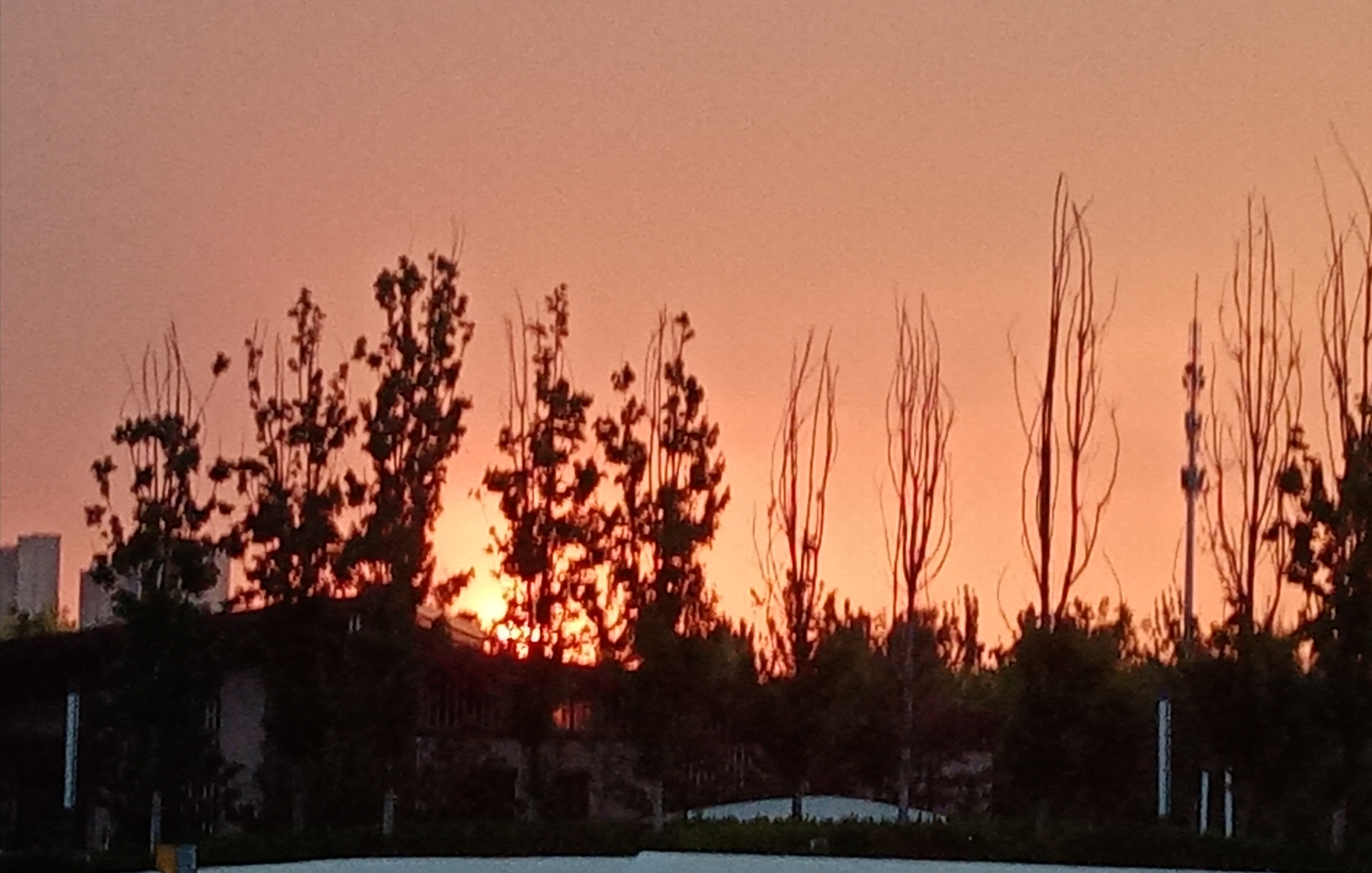 IMG_20230518_123732.jpg