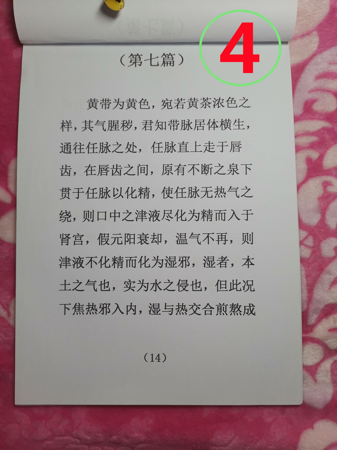 04.jpg