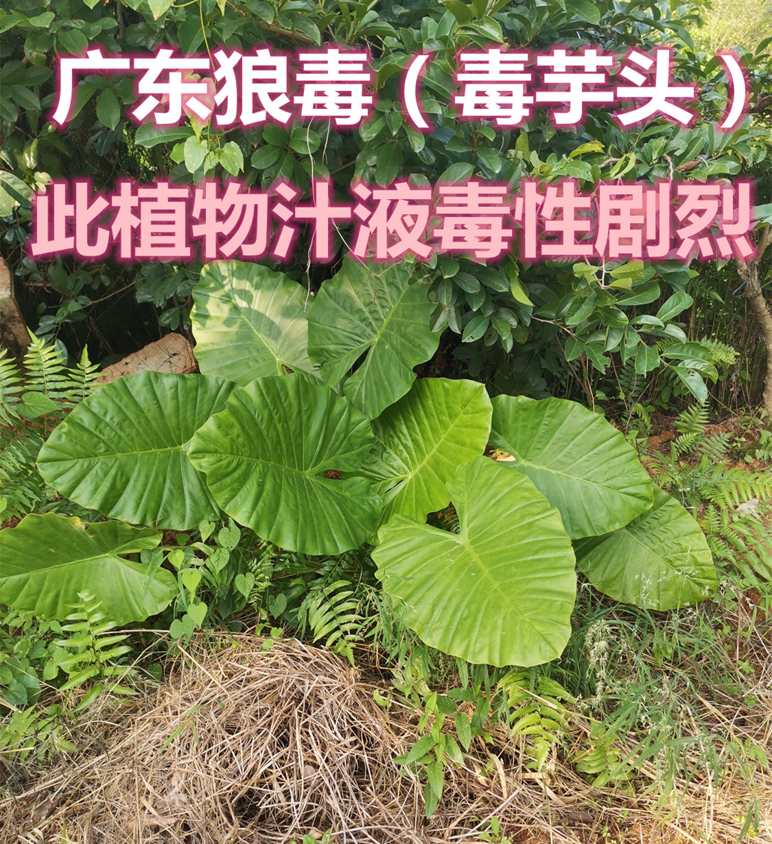02.jpg