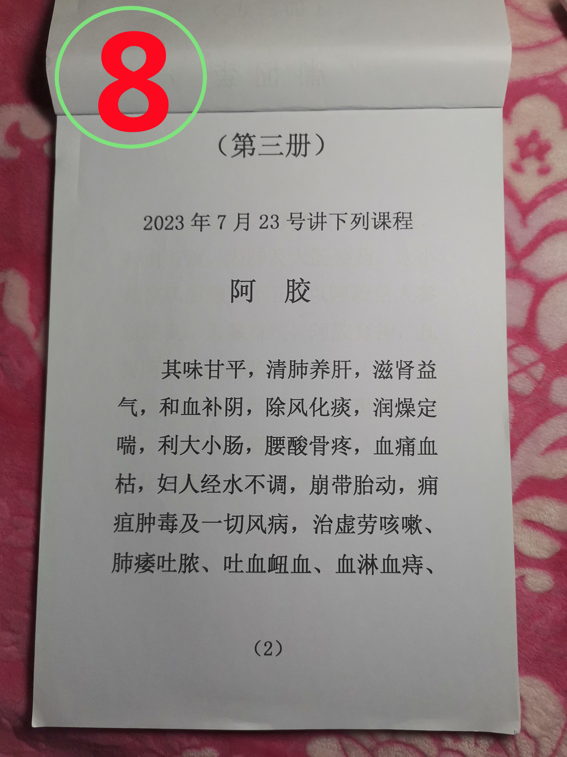 08.jpg