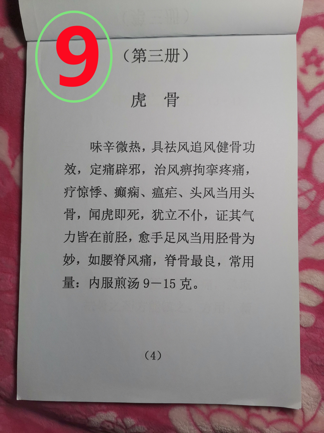 09.jpg