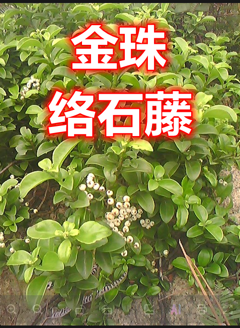 16.png