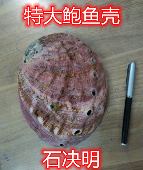 03.png