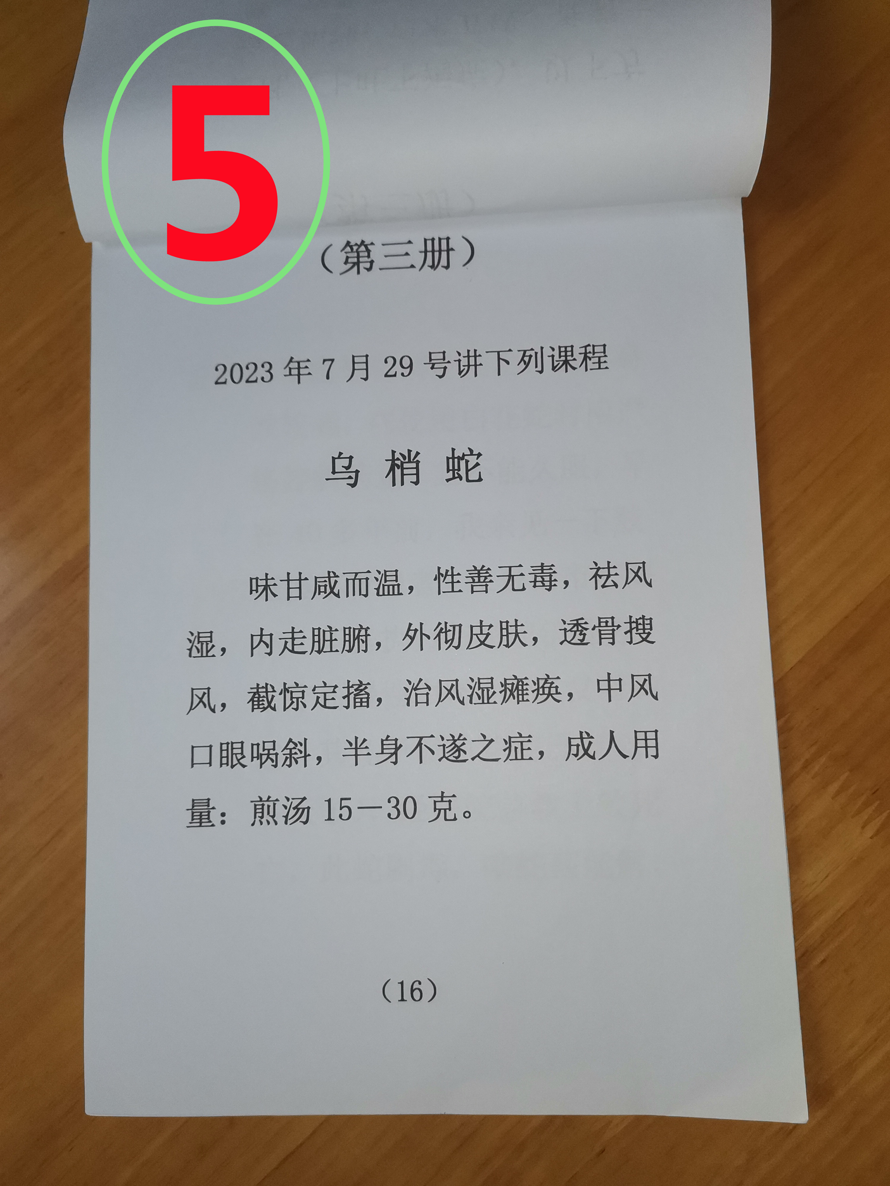 05.jpg