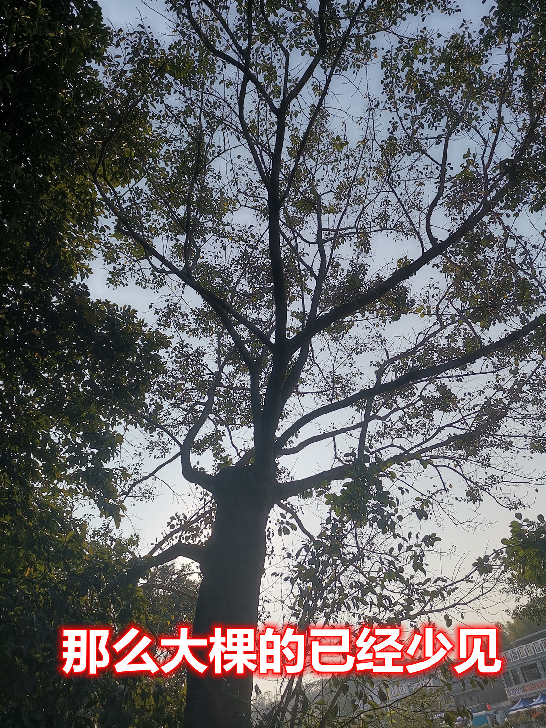 124.jpg