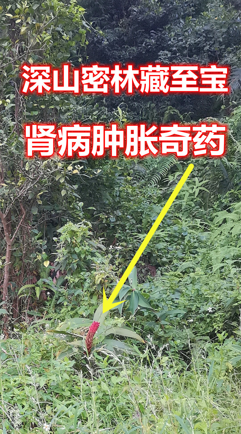 321.jpg