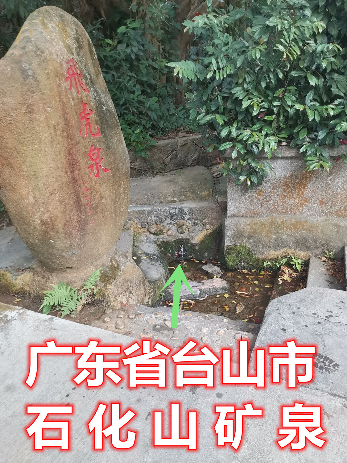 80.jpg
