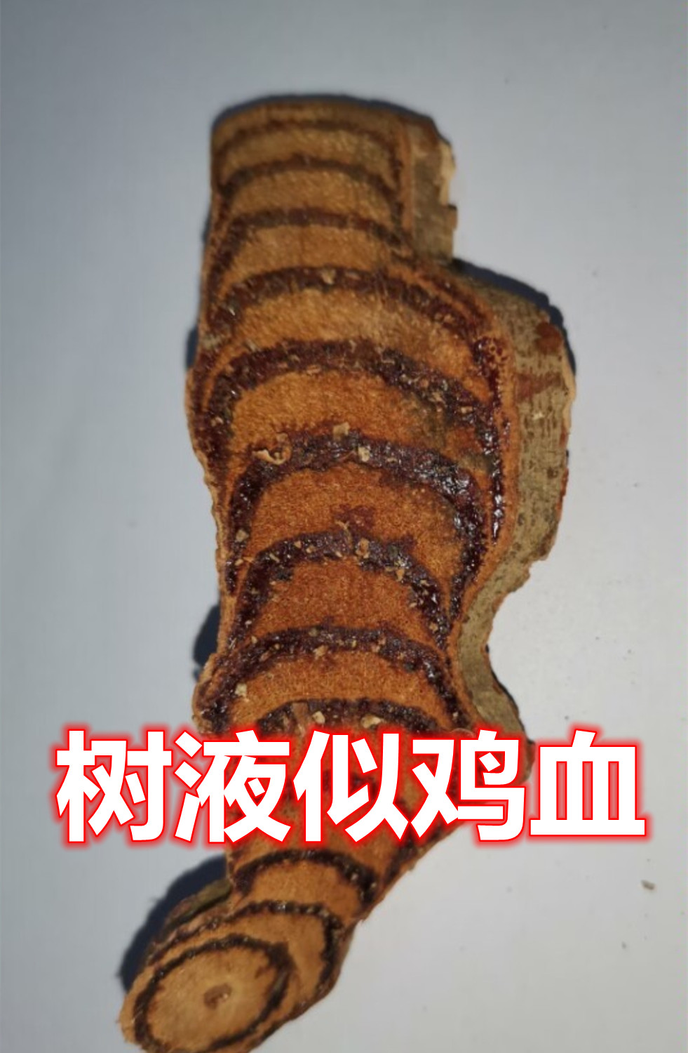 91.jpg