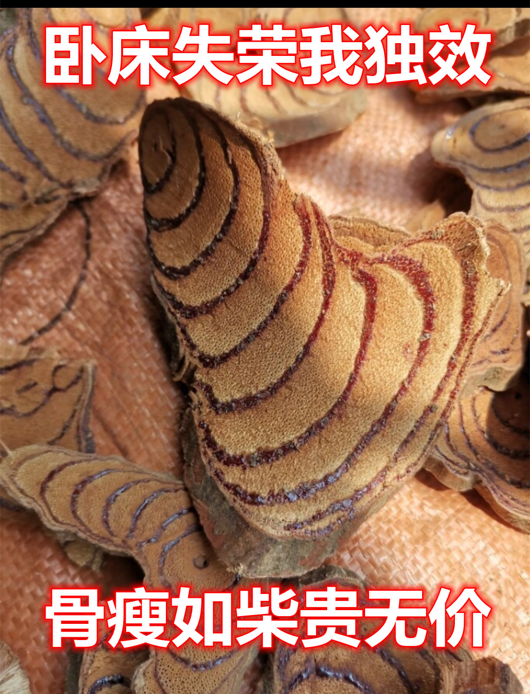 96.jpg