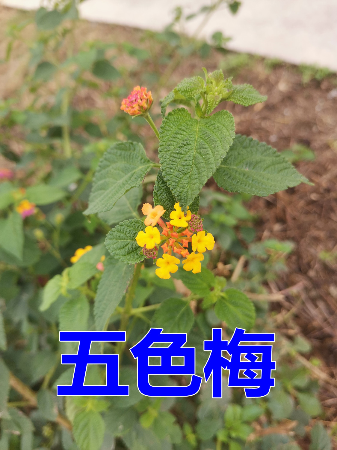 880.jpg