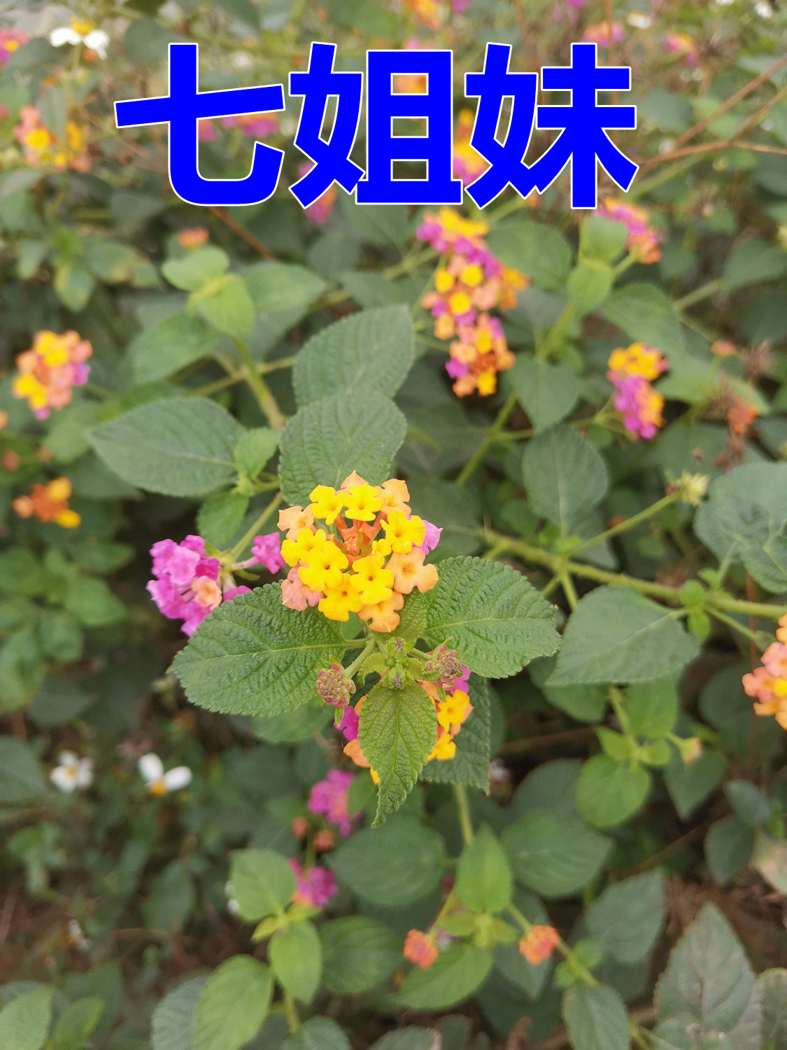 881.jpg