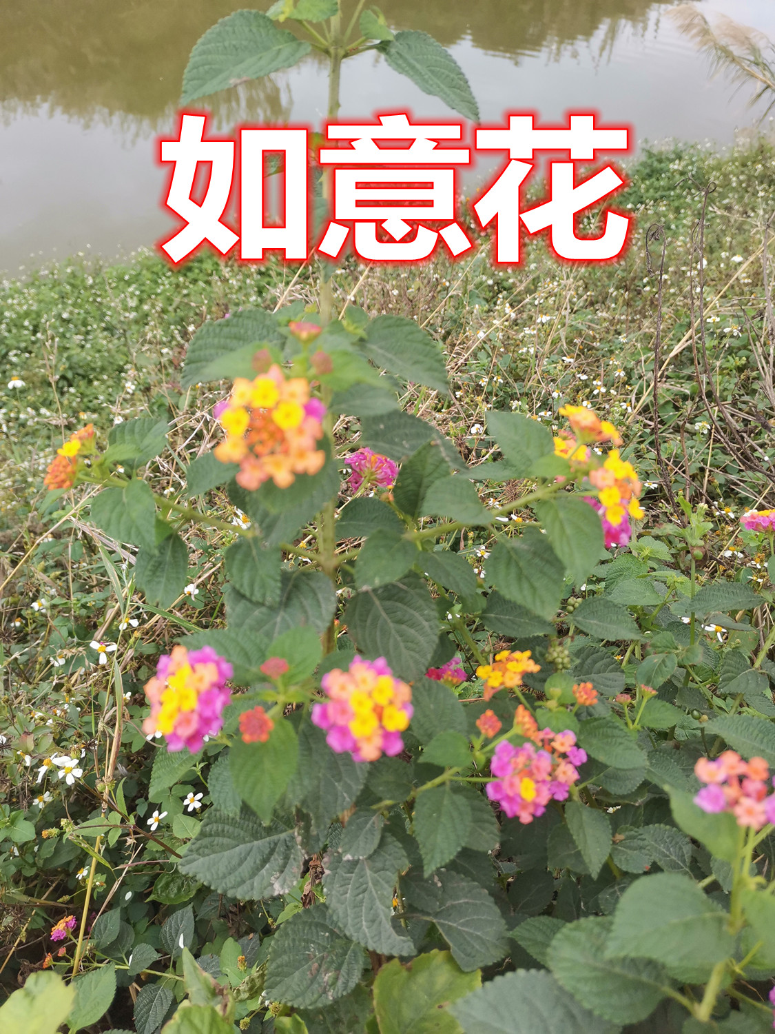 882.jpg