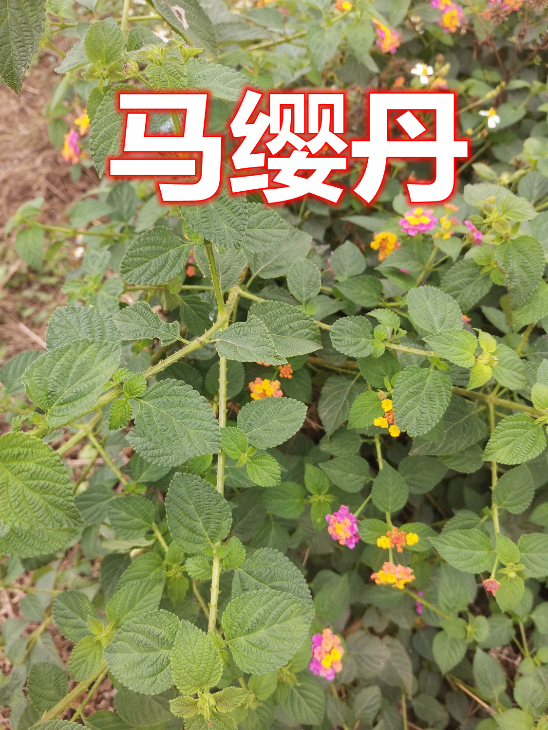 883.jpg