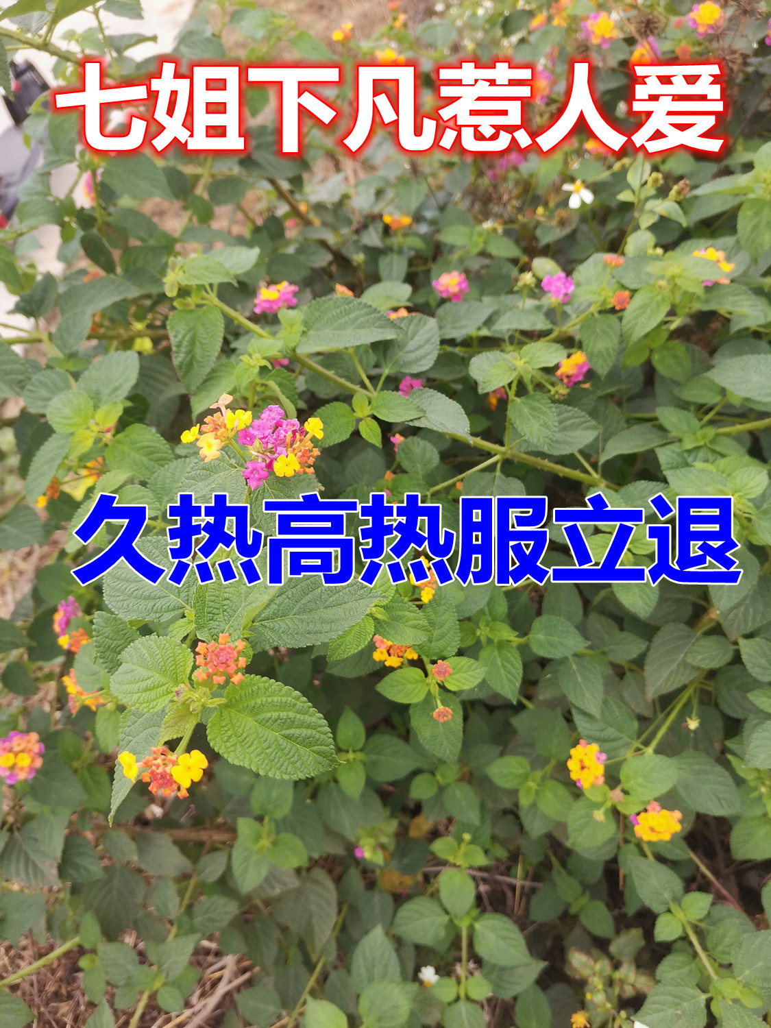 884.jpg