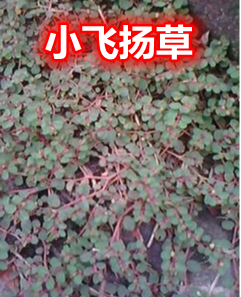 887.png