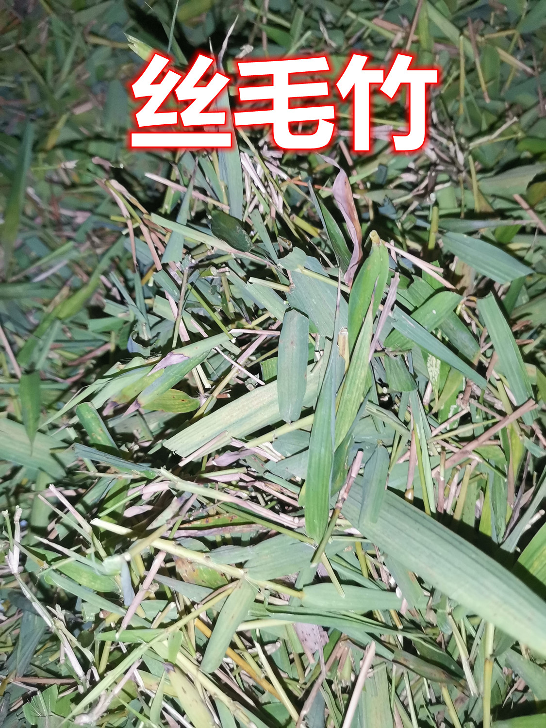 622.jpg