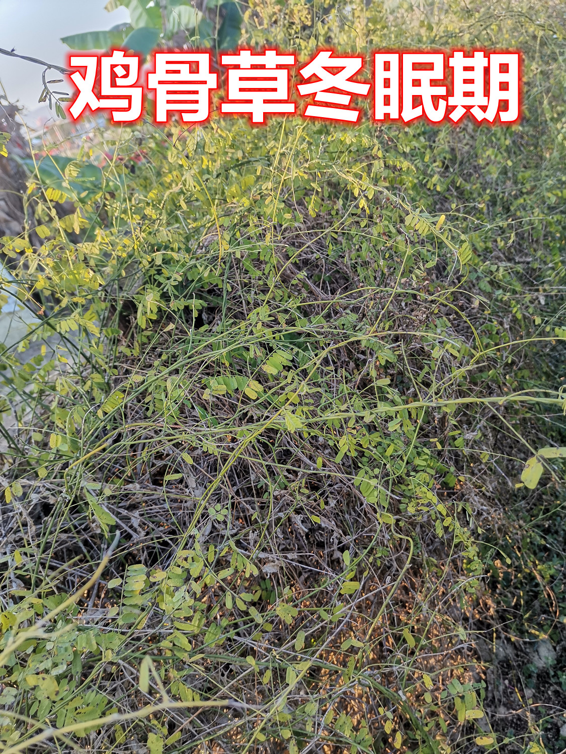 880.jpg