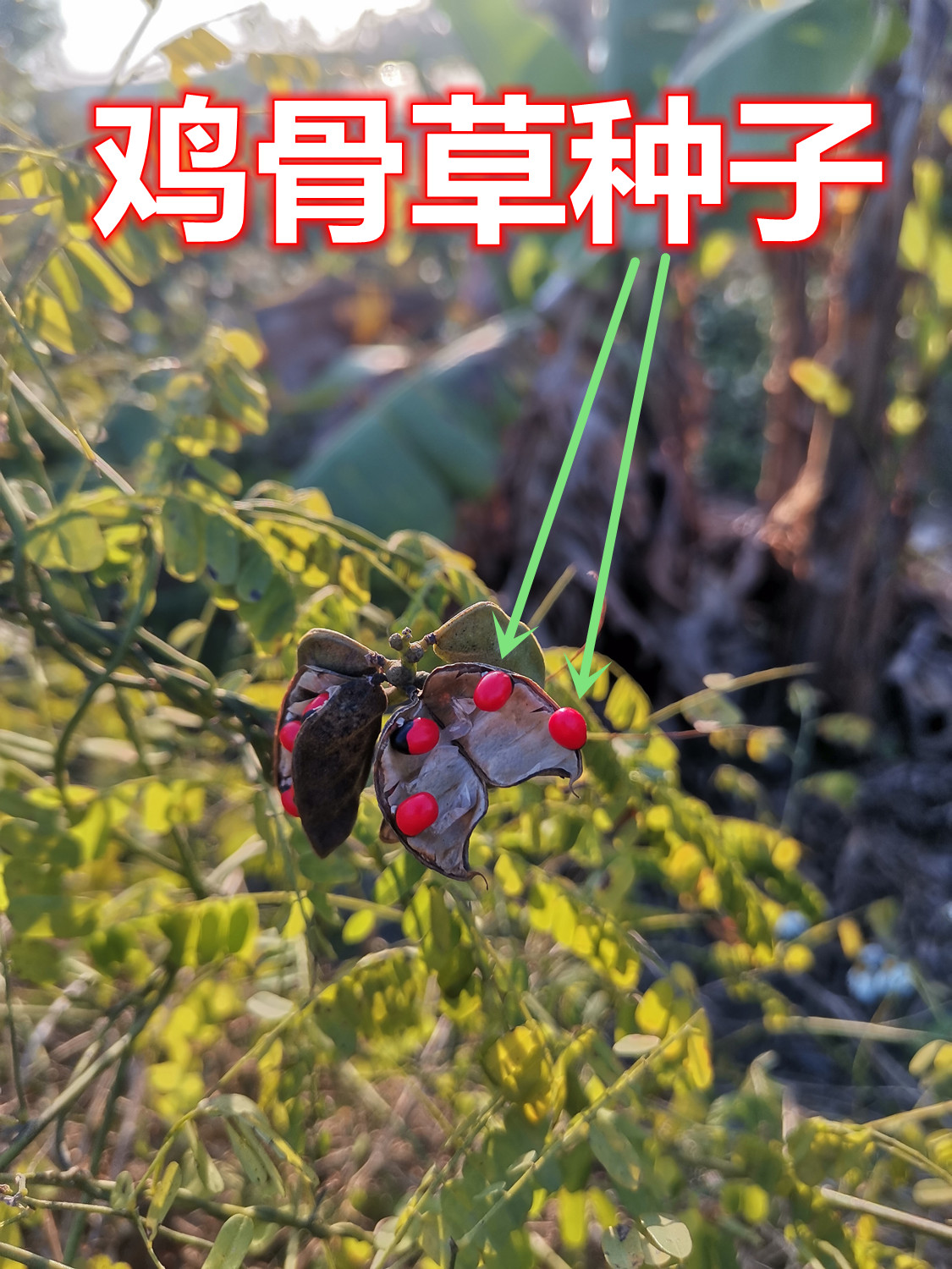 881.jpg