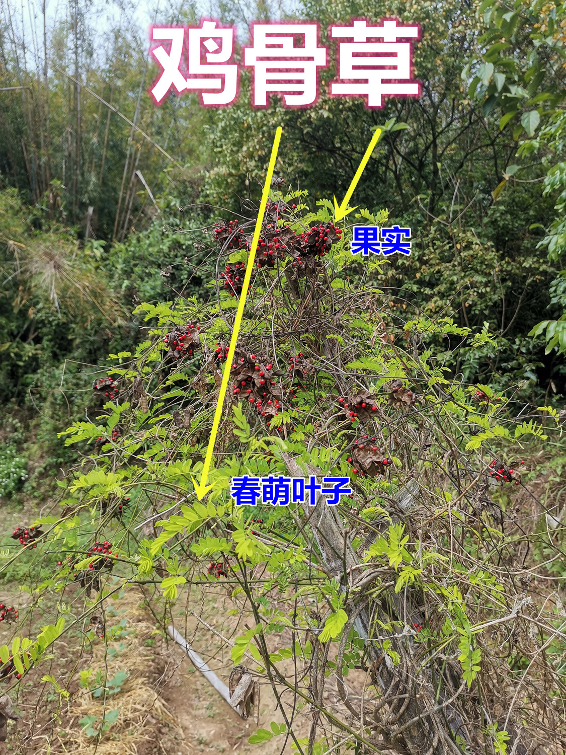 7890.jpg