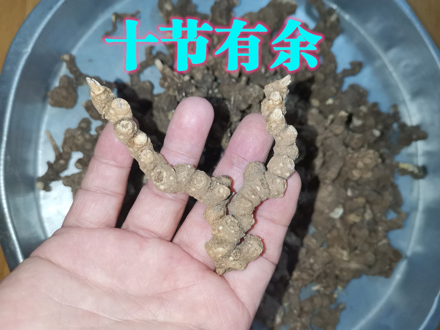 334.jpg