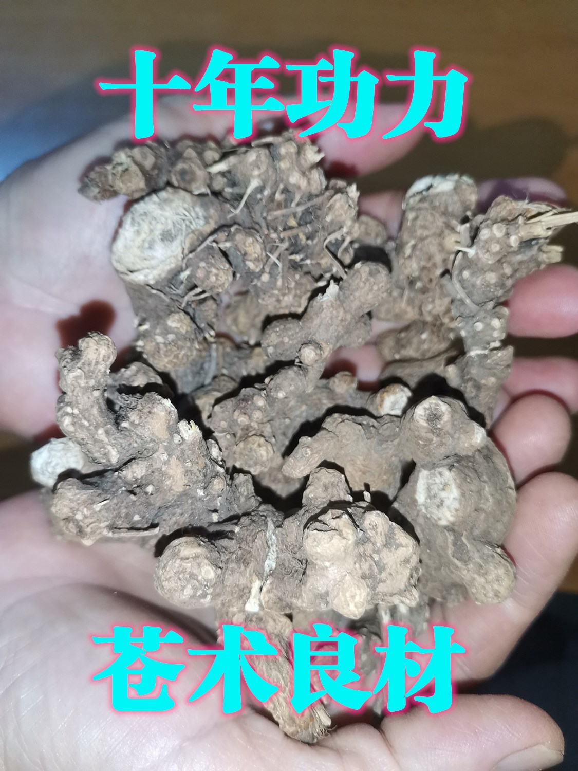 341.jpg