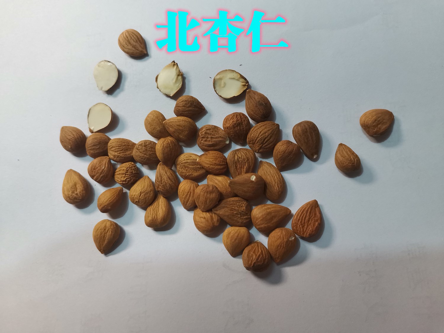 220.jpg