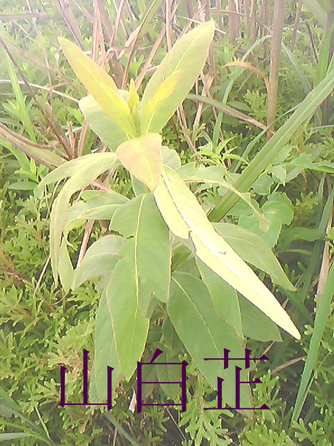 02.jpg