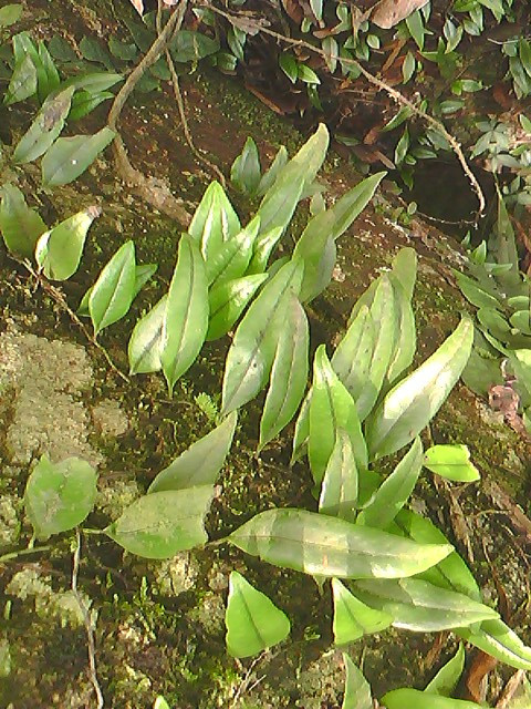 05.jpg