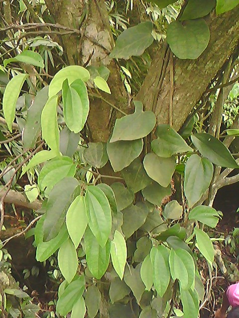 06.jpg
