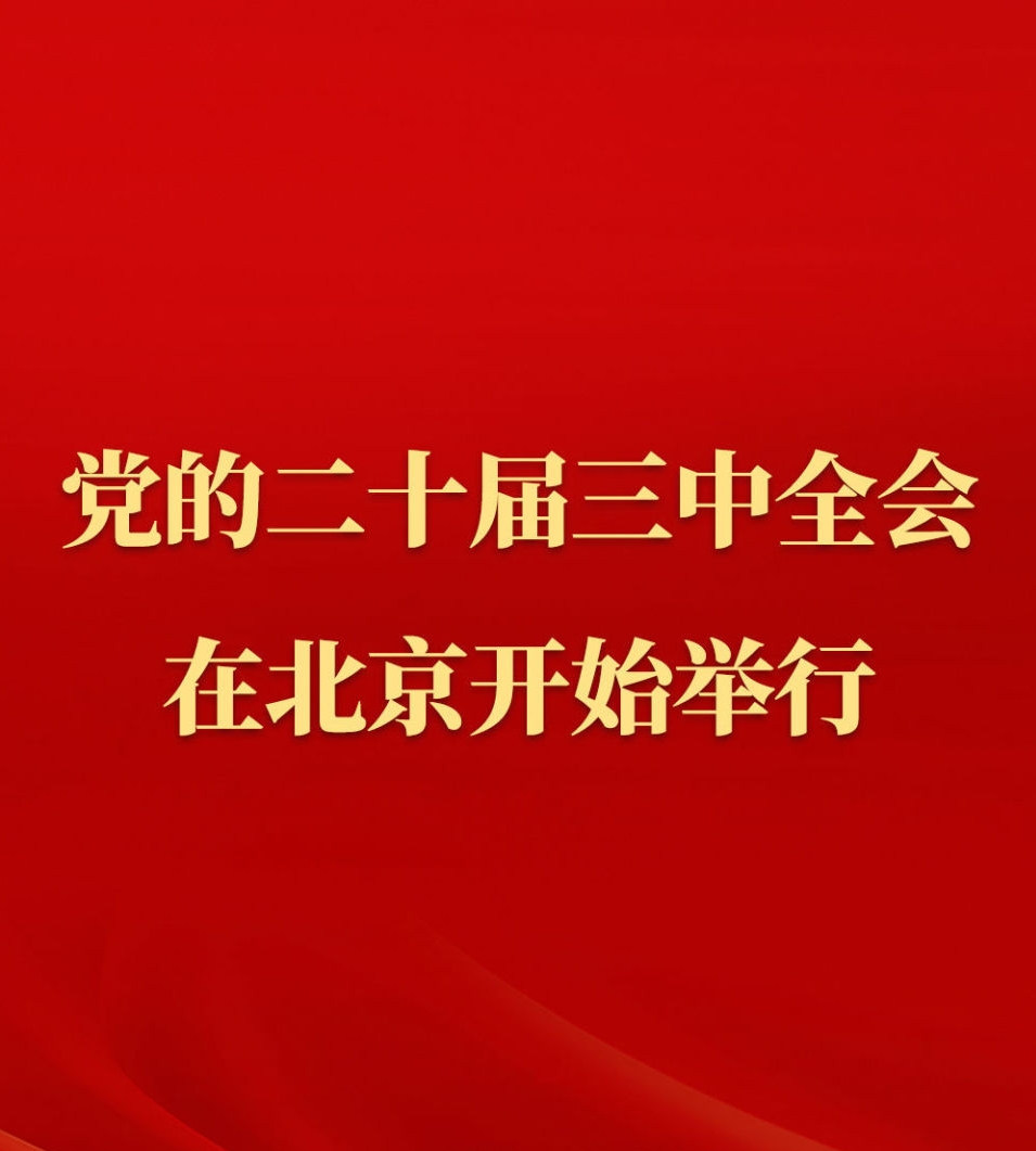 mmexport1721021353958.jpg