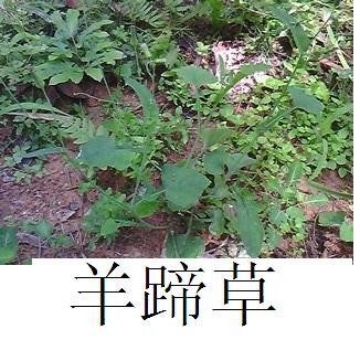 07.jpg