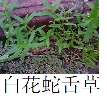 08.jpg