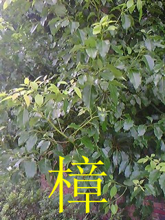 05.jpg
