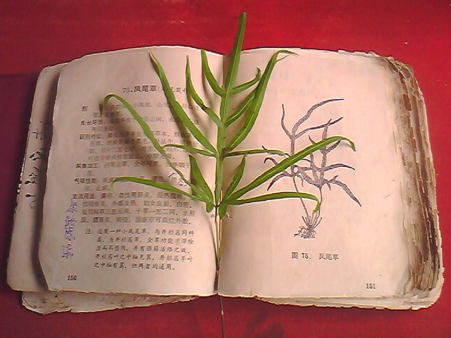 02.jpg