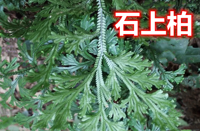 05.png