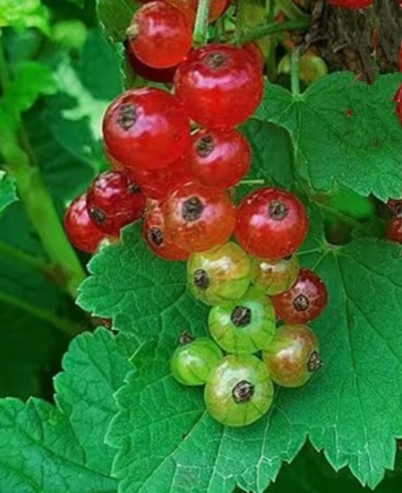 IMG_20250830_093118.jpg